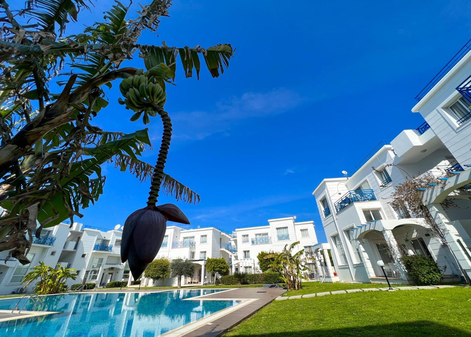 Garden Loft Apt With Pool In Alsancak Kyrenia Kyrenia  Extérieur photo